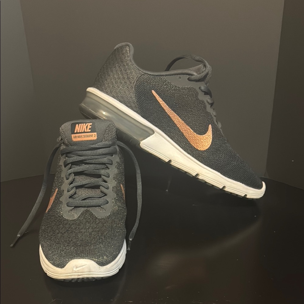 Nike Women’s Gray and Rose Gold  Running Shoes